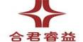 广州合君睿益企业管理咨询有限公司logo