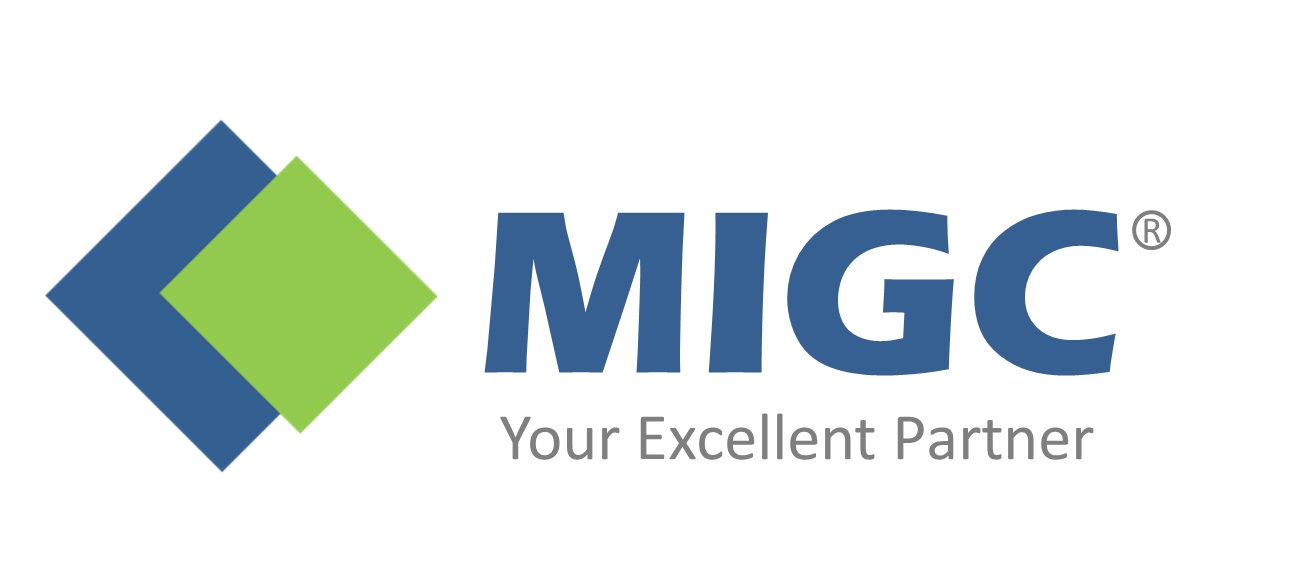 MIGC国际管理咨询集团logo