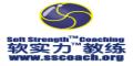 软实力教练机构logo