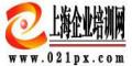 上海帕迪管理咨询公司logo