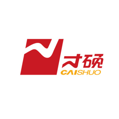 上海才硕咨询有限公司logo