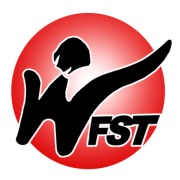 文菲斯特管理顾问公司logo