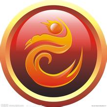 武汉龙族山河文化传播有限公司logo