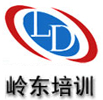 深圳岭东培训福永分校logo